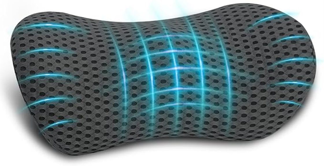 office and car lumbar pillow