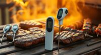 top grilling meat thermometers