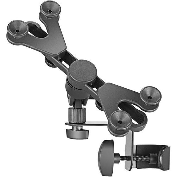 Amazon Basics Adjustable Tablet/iPad Mic Stand