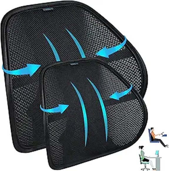 Easy Posture Lumbar Support for Car (2 Pack)