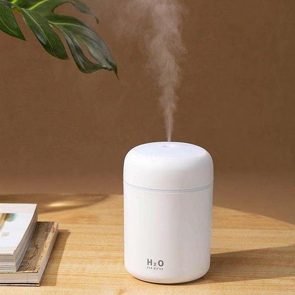 Portable Mini Humidifier with Colorful Cool Mist