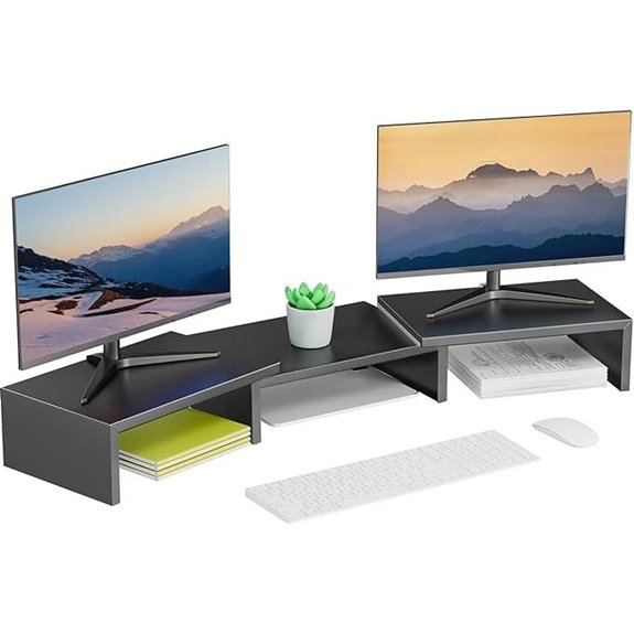 Dual Monitor Desk Stand and Organizer