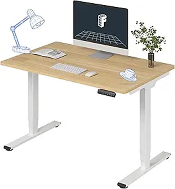 FLEXISPOT E6 Dual Motor Standing Desk (48x30)
