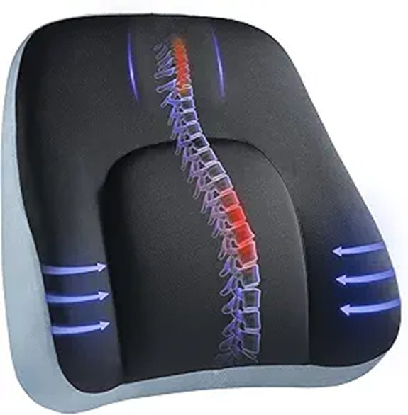 HUANUO Lumbar Support Pillow for Office & Car