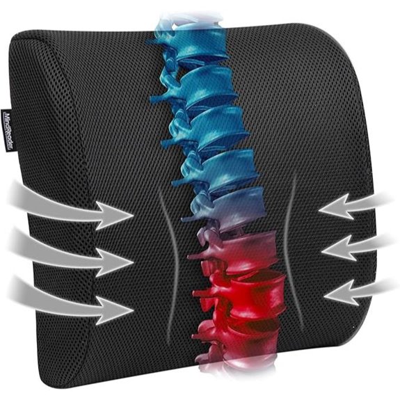 Mind Reader Lumbar Support Back Cushion