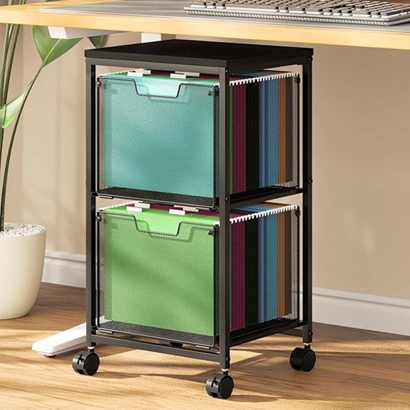 Rolling File Cart with 2 Drawers and Wheels