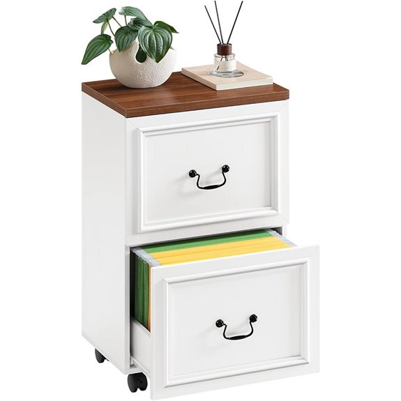 2-Drawer Rolling File Cabinet for Home Office