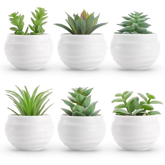 Artificial Succulents Set of 6 in Pots for Decor