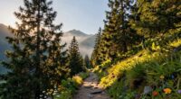 reset brain with environment