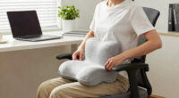 12 Best Lumbar Support Pillow for Office Chair in 2026