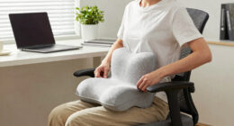 12 Best Lumbar Support Pillow for Office Chair in 2026