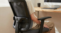 14 Best Ergonomic Office Chair for Long Hours in 2026