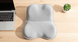 15 Best Ergonomic Office Chair Cushions in 2026
