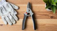 12 Best Ergonomic Garden Pruners in 2026