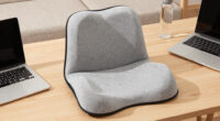 12 Best Ergonomic Office Chair Cushions in 2026