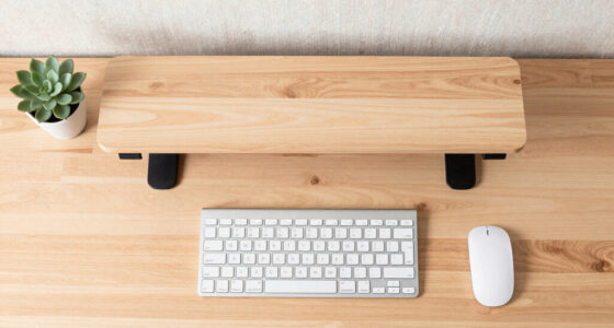 15 Best Ergonomic Standing Desk Converter in 2026